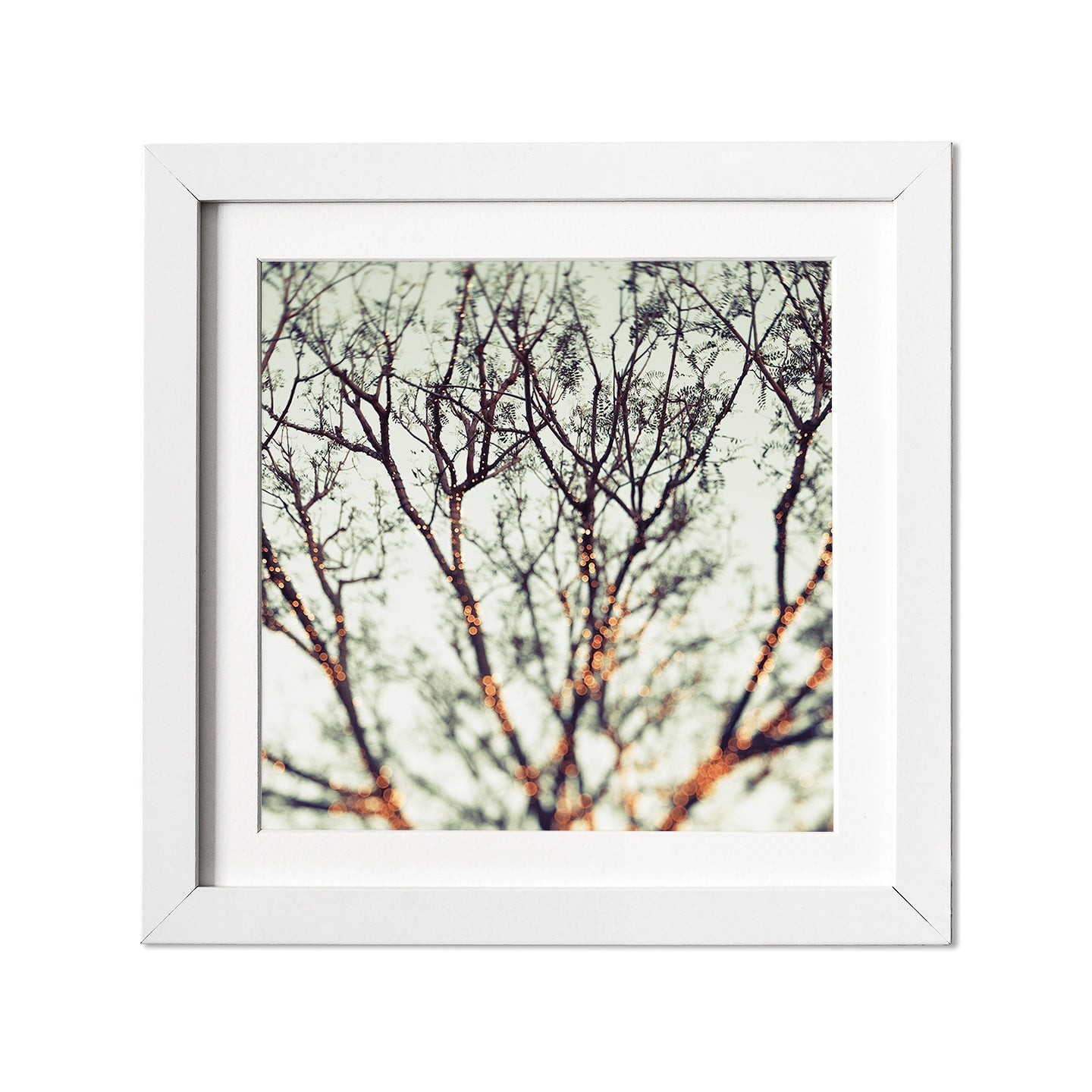 Fairy Lights Fine Art Print