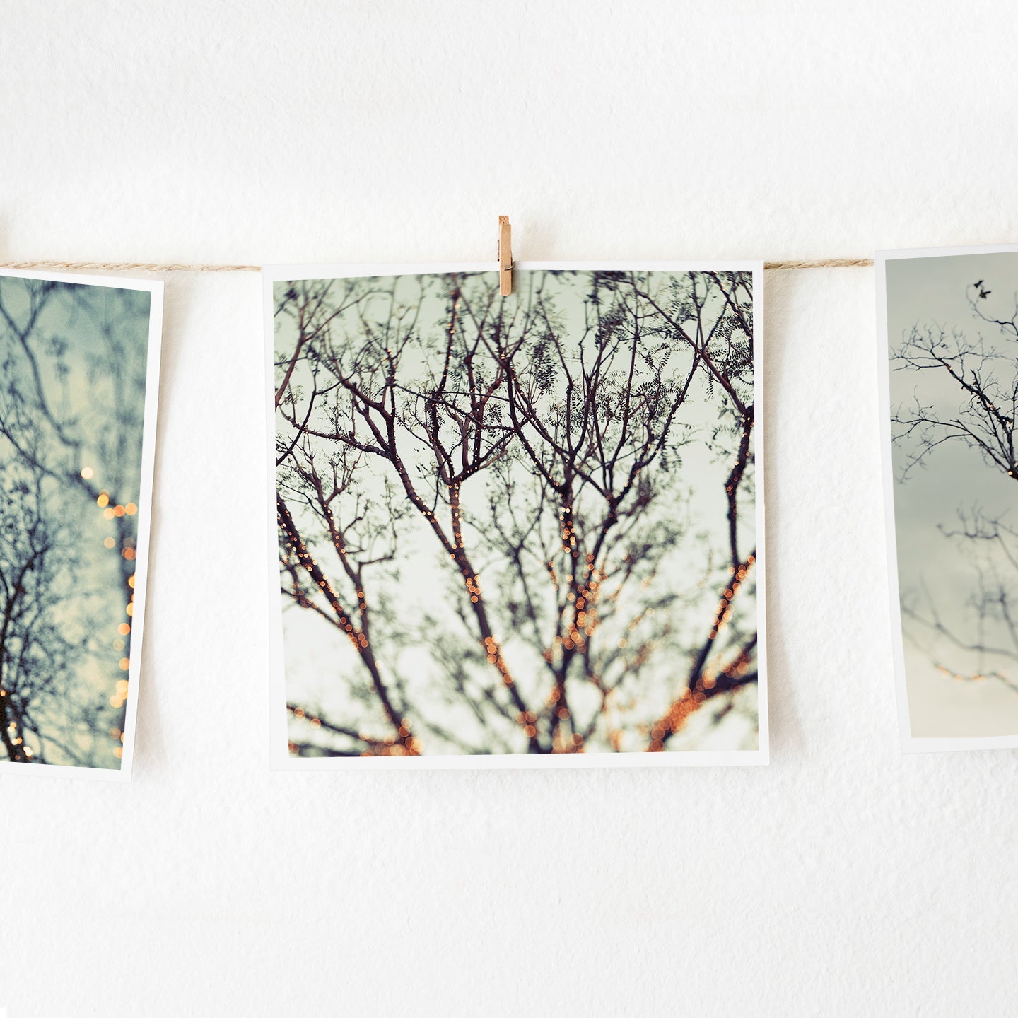 Fairy Lights Fine Art Print